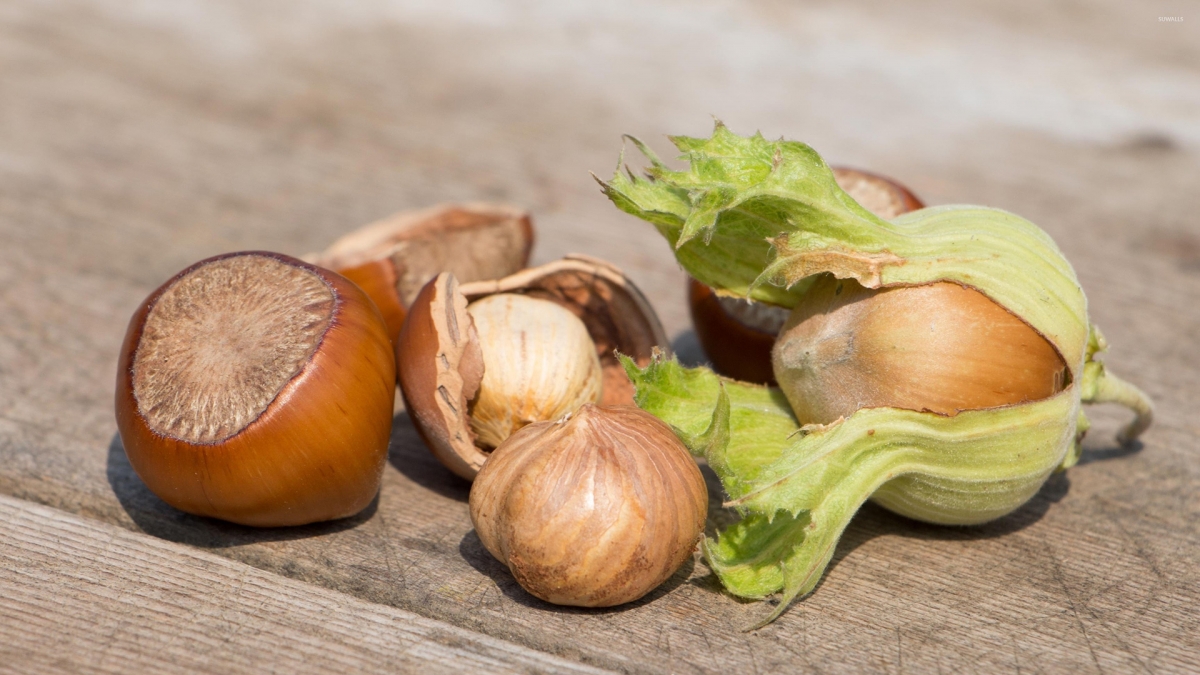 Hazelnut Corporation